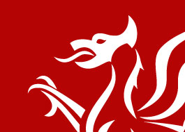 Wales Gov welsh dragon